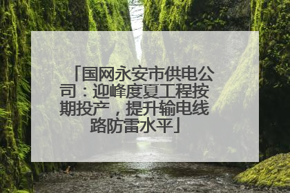 国网永安市供电公司：迎峰度夏工程按期投产，提升输电线路防雷水平