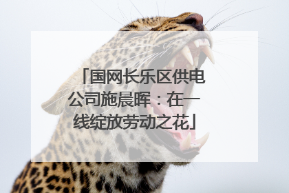 国网长乐区供电公司施晨晖：在一线绽放劳动之花