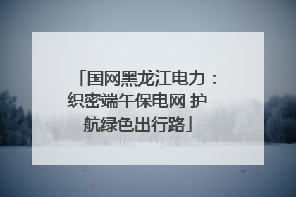 国网黑龙江电力：织密端午保电网 护航绿色出行路