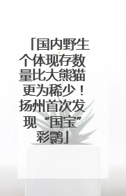 国内野生个体现存数量比大熊猫更为稀少！扬州首次发现“国宝”彩鹮