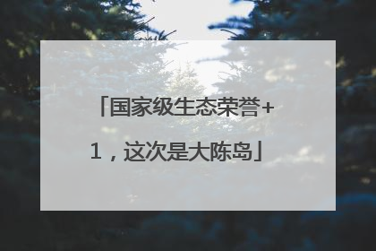 国家级生态荣誉+1，这次是大陈岛