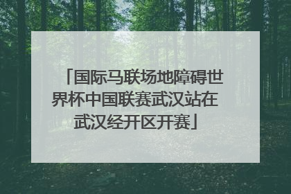 国际马联场地障碍世界杯中国联赛武汉站在武汉经开区开赛