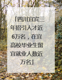 四川宜宾三年招引人才近6万名，在宜高校毕业生留宜就业人数近万名