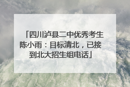 四川泸县二中优秀考生陈小雨：目标清北，已接到北大招生组电话