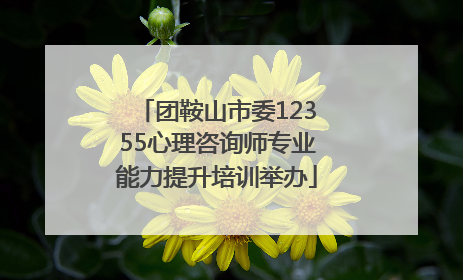 团鞍山市委12355心理咨询师专业能力提升培训举办