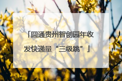 圆通贵州智创园年收发快递量“三级跳”