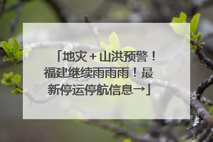 地灾＋山洪预警！福建继续雨雨雨！最新停运停航信息→