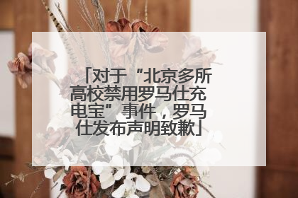 对于“北京多所高校禁用罗马仕充电宝”事件，罗马仕发布声明致歉