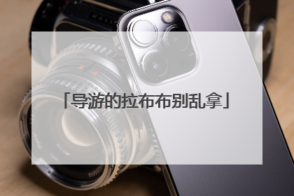 导游的拉布布别乱拿