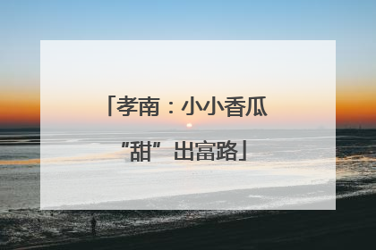 孝南：小小香瓜 “甜”出富路