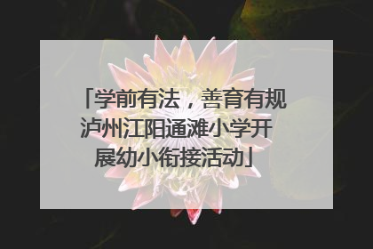 学前有法，善育有规 泸州江阳通滩小学开展幼小衔接活动