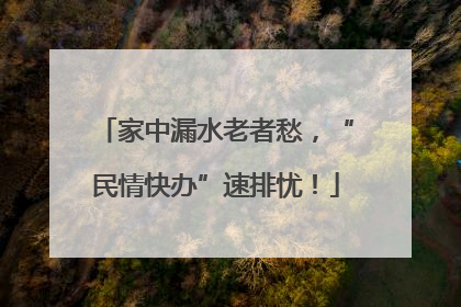 家中漏水老者愁，“民情快办”速排忧！