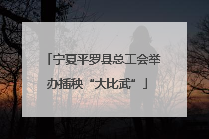 宁夏平罗县总工会举办插秧“大比武”