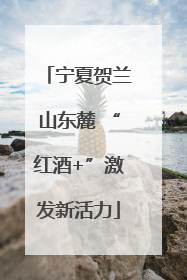 宁夏贺兰山东麓 “红酒+”激发新活力