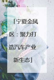 宁夏金凤区：聚力打造汽车产业新生态