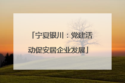 宁夏银川：党建活动促安居企业发展