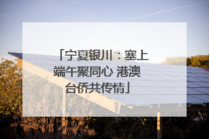 宁夏银川：塞上端午聚同心 港澳台侨共传情