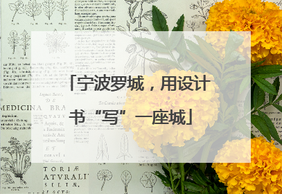 宁波罗城，用设计书“写”一座城