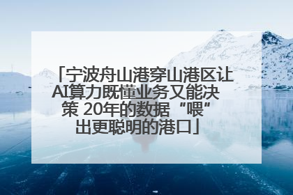 宁波舟山港穿山港区让AI算力既懂业务又能决策 20年的数据“喂”出更聪明的港口
