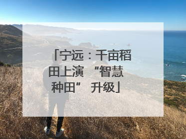 宁远：千亩稻田上演 “智慧种田” 升级