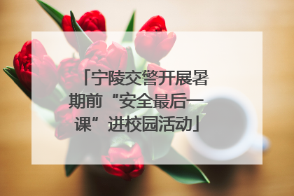 宁陵交警开展暑期前“安全最后一课”进校园活动