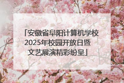 安徽省阜阳计算机学校2025年校园开放日暨文艺展演精彩纷呈