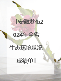 安徽发布2024年全省生态环境状况成绩单