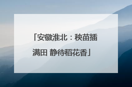 安徽淮北：秧苗插满田 静待稻花香