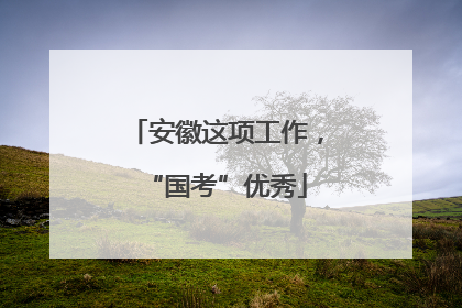 安徽这项工作，“国考”优秀