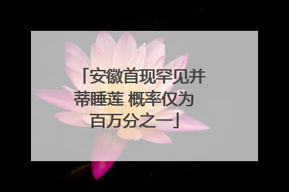 安徽首现罕见并蒂睡莲 概率仅为百万分之一