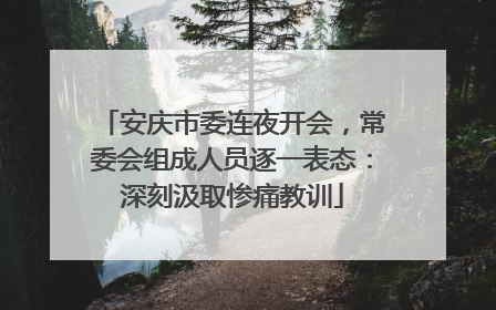 安庆市委连夜开会，常委会组成人员逐一表态：深刻汲取惨痛教训