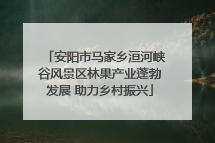 安阳市马家乡洹河峡谷风景区林果产业蓬勃发展 助力乡村振兴