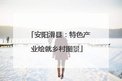安阳滑县：特色产业绘就乡村图景