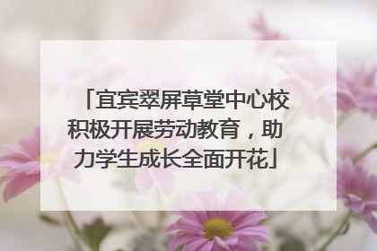 宜宾翠屏草堂中心校积极开展劳动教育，助力学生成长全面开花
