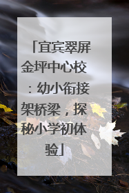 宜宾翠屏金坪中心校：幼小衔接架桥梁，探秘小学初体验