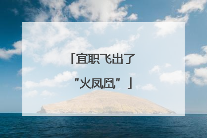 宜职飞出了“火凤凰”