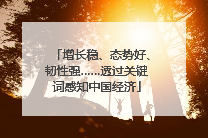 增长稳、态势好、韧性强……透过关键词感知中国经济
