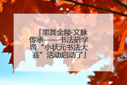 墨舞金陵·文脉传承——书法研学暨“小状元书法大赛”活动启动了
