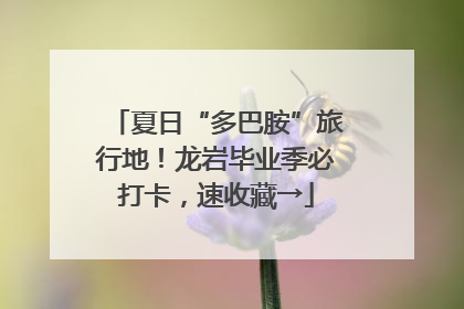 夏日“多巴胺”旅行地！龙岩毕业季必打卡，速收藏→