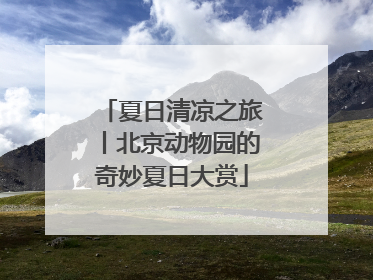 夏日清凉之旅丨北京动物园的奇妙夏日大赏