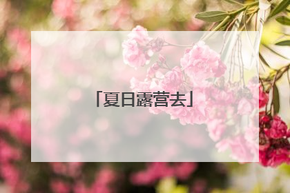 夏日露营去
