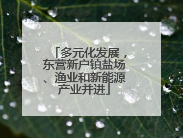 多元化发展，东营新户镇盐场、渔业和新能源产业并进