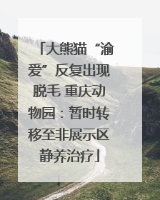 大熊猫“渝爱”反复出现脱毛 重庆动物园：暂时转移至非展示区静养治疗