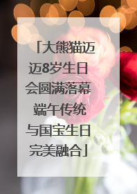 大熊猫迈迈8岁生日会圆满落幕 端午传统与国宝生日完美融合