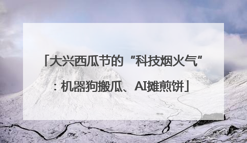 大兴西瓜节的“科技烟火气”：机器狗搬瓜、AI摊煎饼