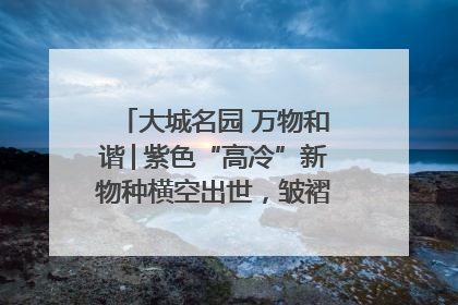 大城名园 万物和谐│紫色“高冷”新物种横空出世，皱褶叶片暗藏进化密码