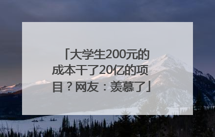 大学生200元的成本干了20亿的项目？网友：羡慕了