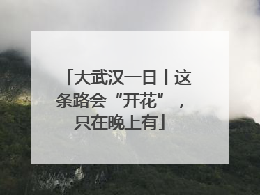大武汉一日丨这条路会“开花”，只在晚上有