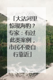 大沽河里惊现海豹？专家：有过此类案例，市民不要自行靠近