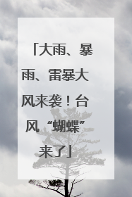 大雨、暴雨、雷暴大风来袭！台风“蝴蝶”来了